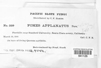 Ganoderma applanatum image